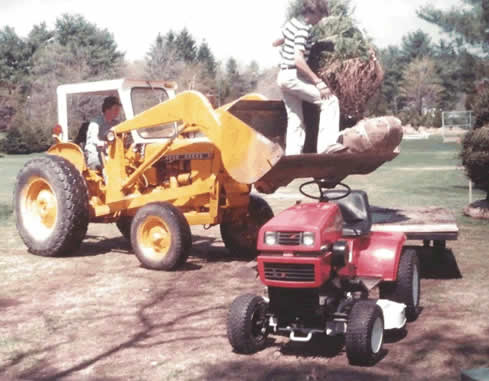 TRANSPLANTING TREES IN THE EARLY 70s